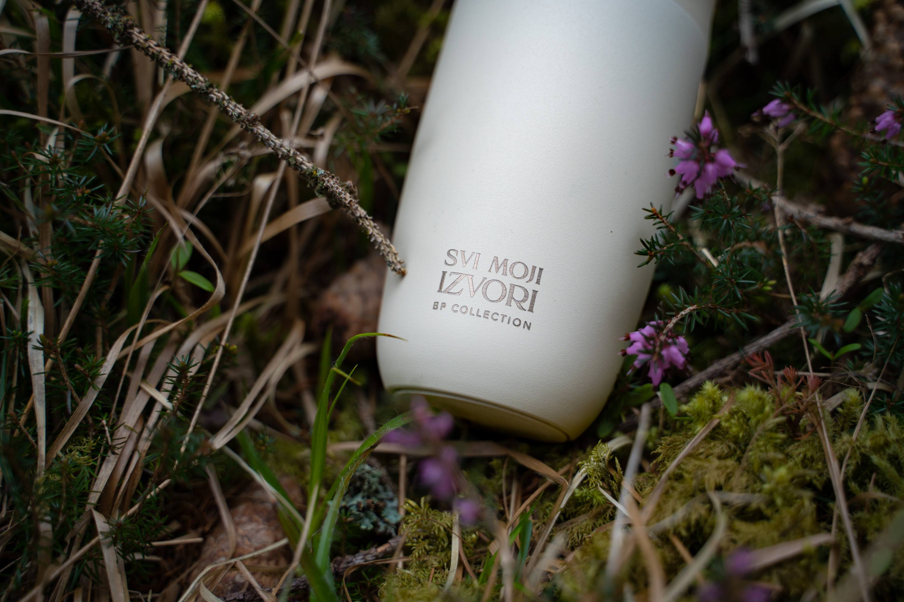 Termos šalica - SVI MOJI IZVORI