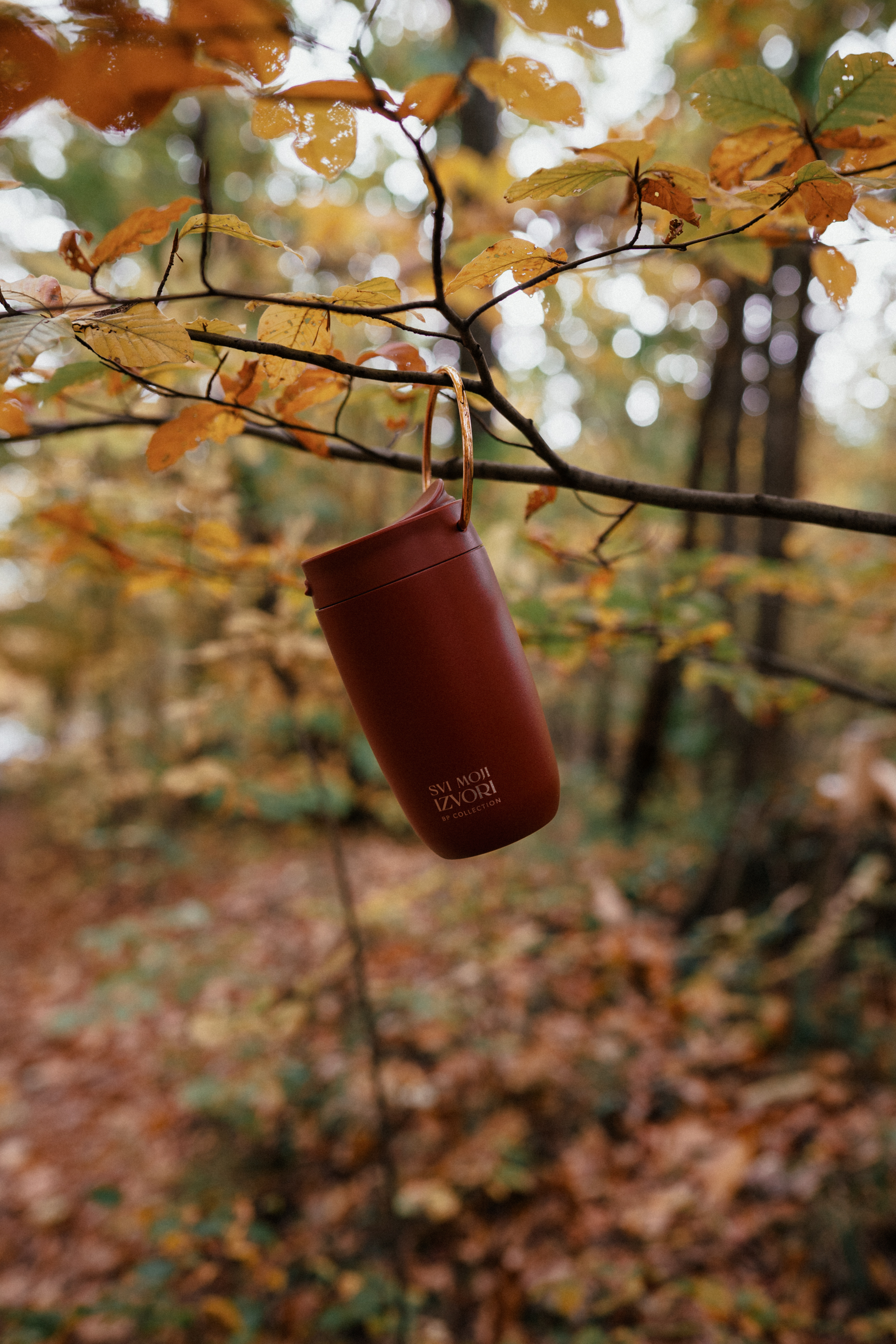 Termos šalica - SVI MOJI IZVORI