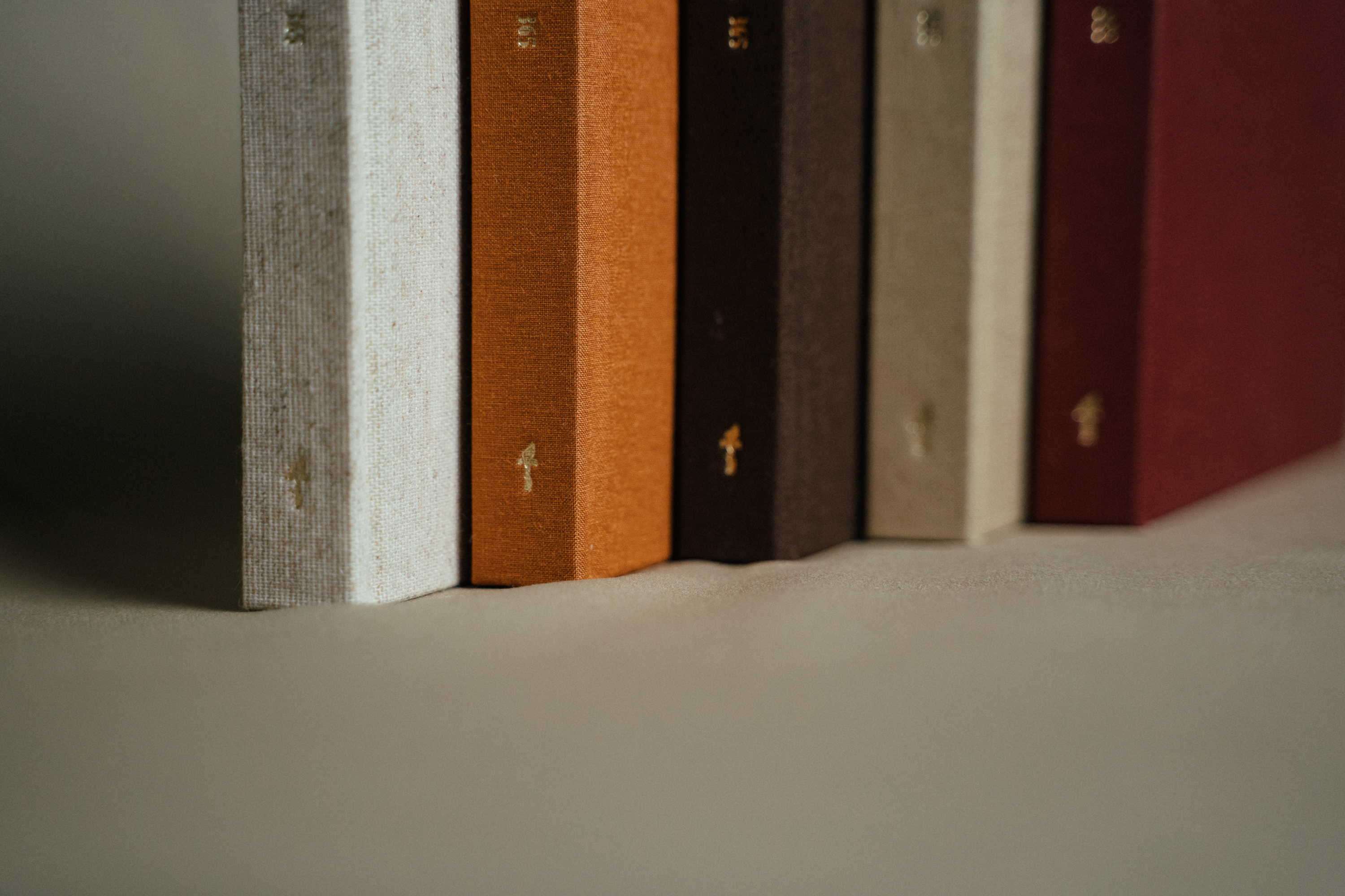 Planer - HRABRI BUDITE