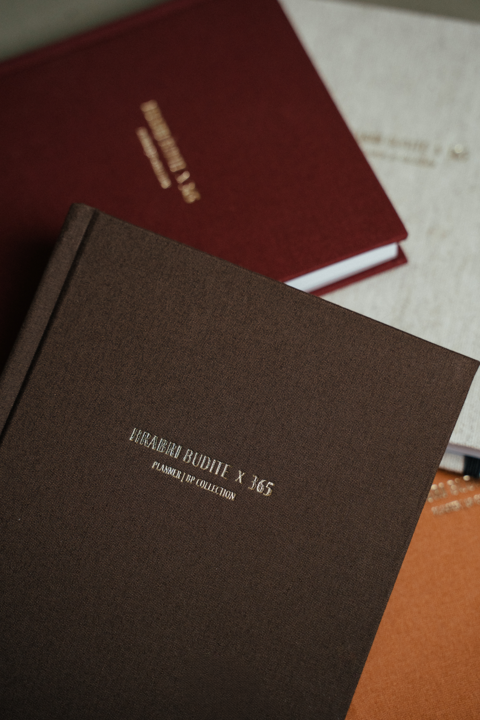 Planer - HRABRI BUDITE