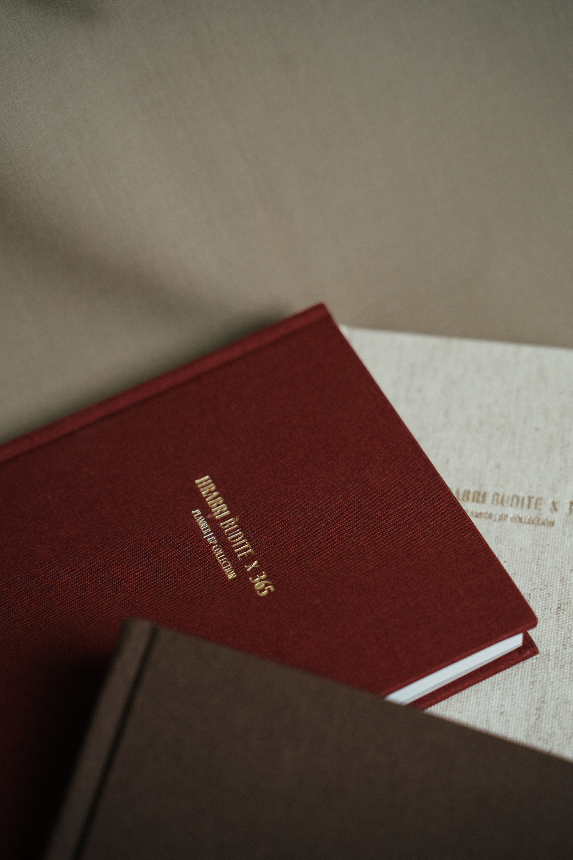 Planer - HRABRI BUDITE