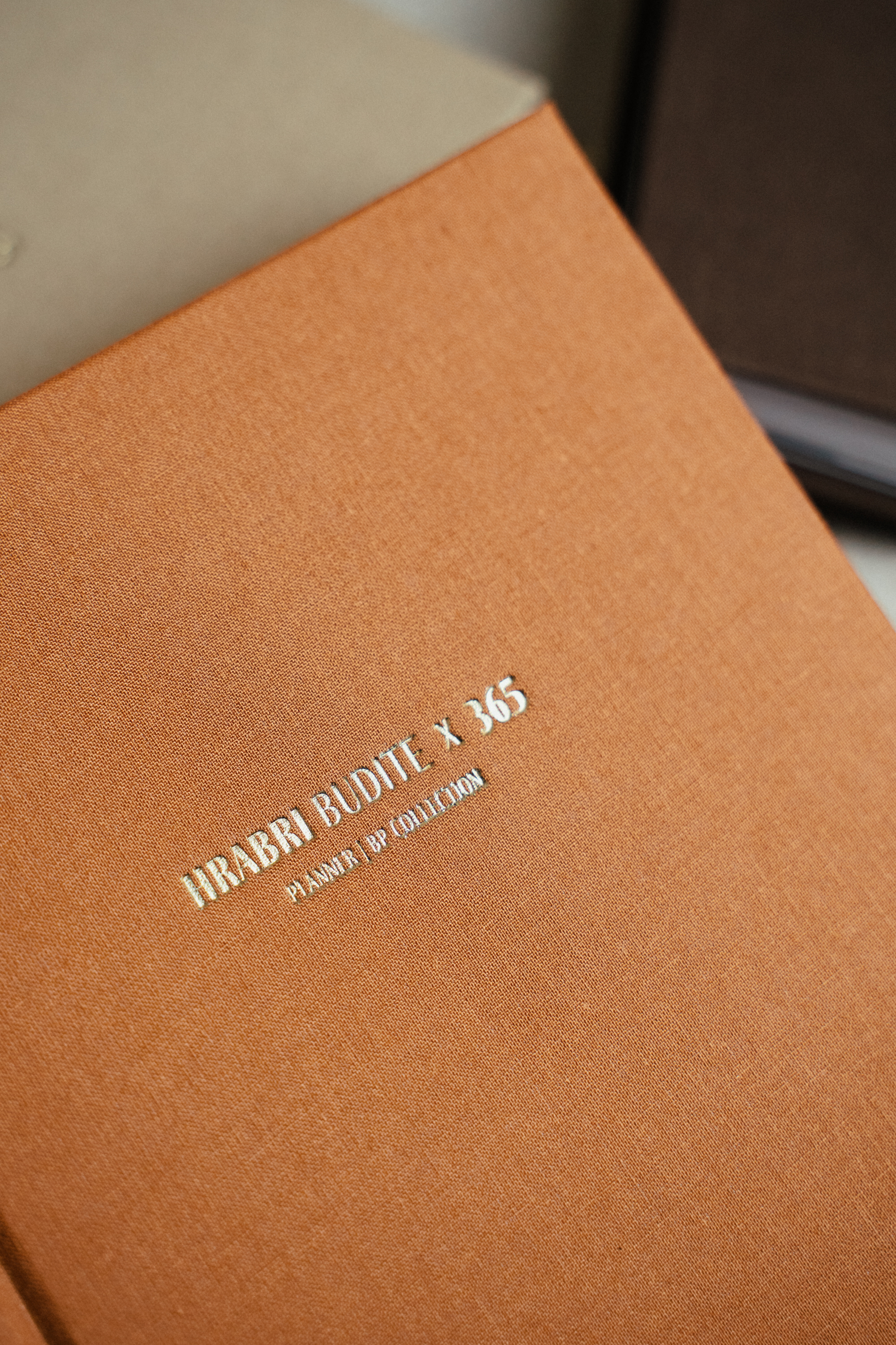 Planer - HRABRI BUDITE