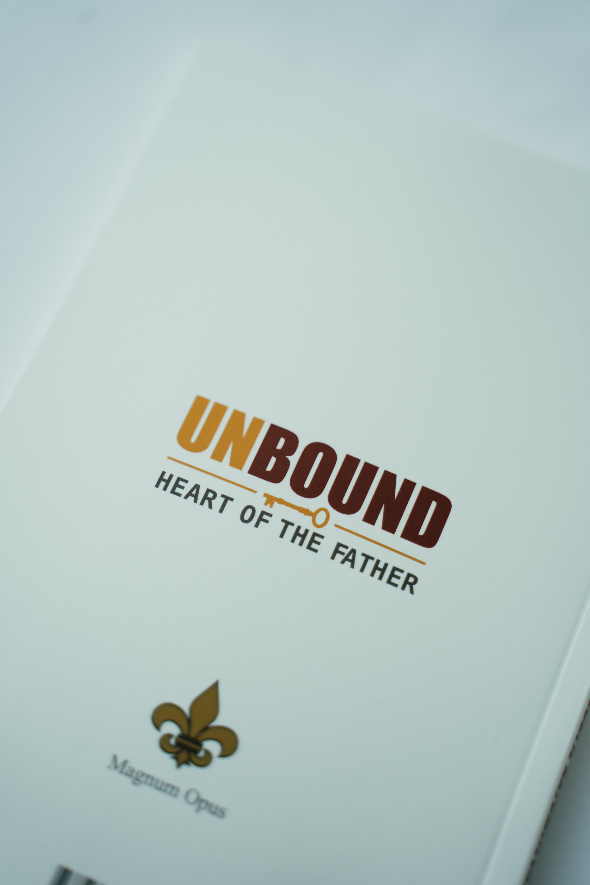 OSLOBOĐENI: Dublje razumijevanje